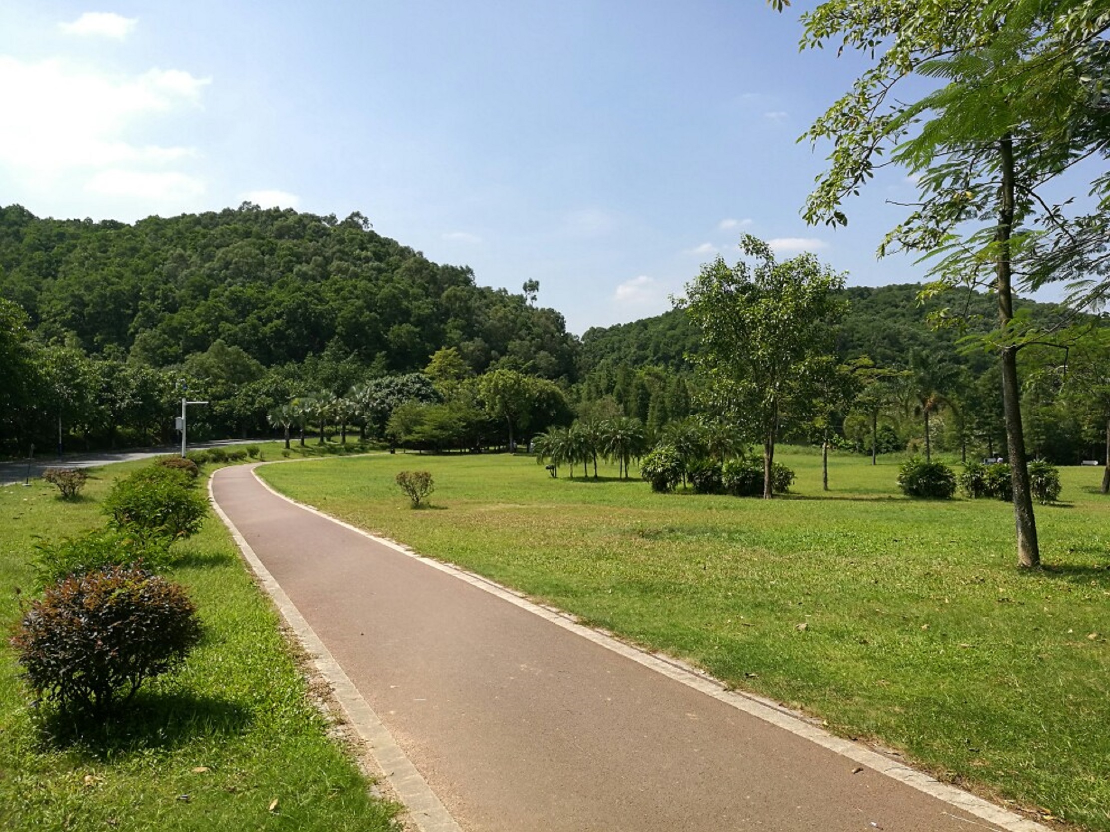  p>同沙生态公园位于 a href="#">东莞市 /a> a href="#" data-lemma