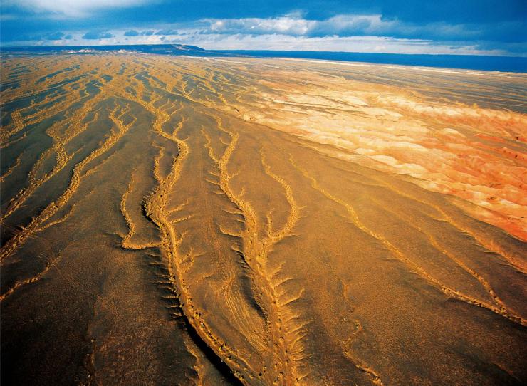 href="/item/沙丘/6264" data-lemmaid="6264">沙丘 /a>形态,形似树枝