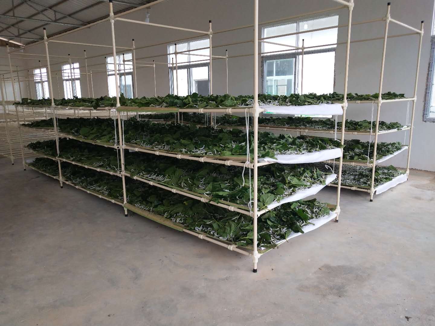  p>蚕架是养蚕器具.用以安放团匾养蚕. /p>