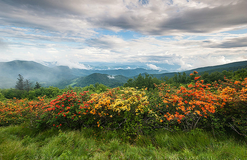 阿巴拉契亚国家步道
