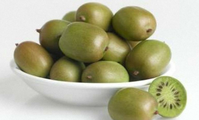 target="_blank" href="/item/奉新县/6007057" data-lemmaid="