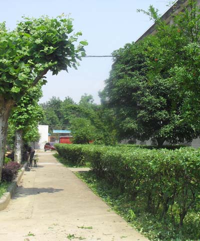 永康市白云小学