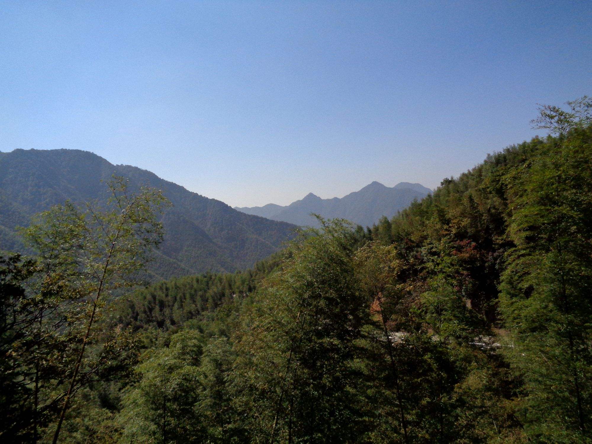 九岭山