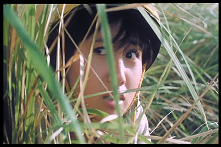  p>《开心乐园》是由 a href="#" data-lemmaid="6418440">麦当杰 /a>