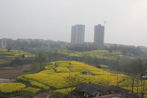 忠县拔山镇