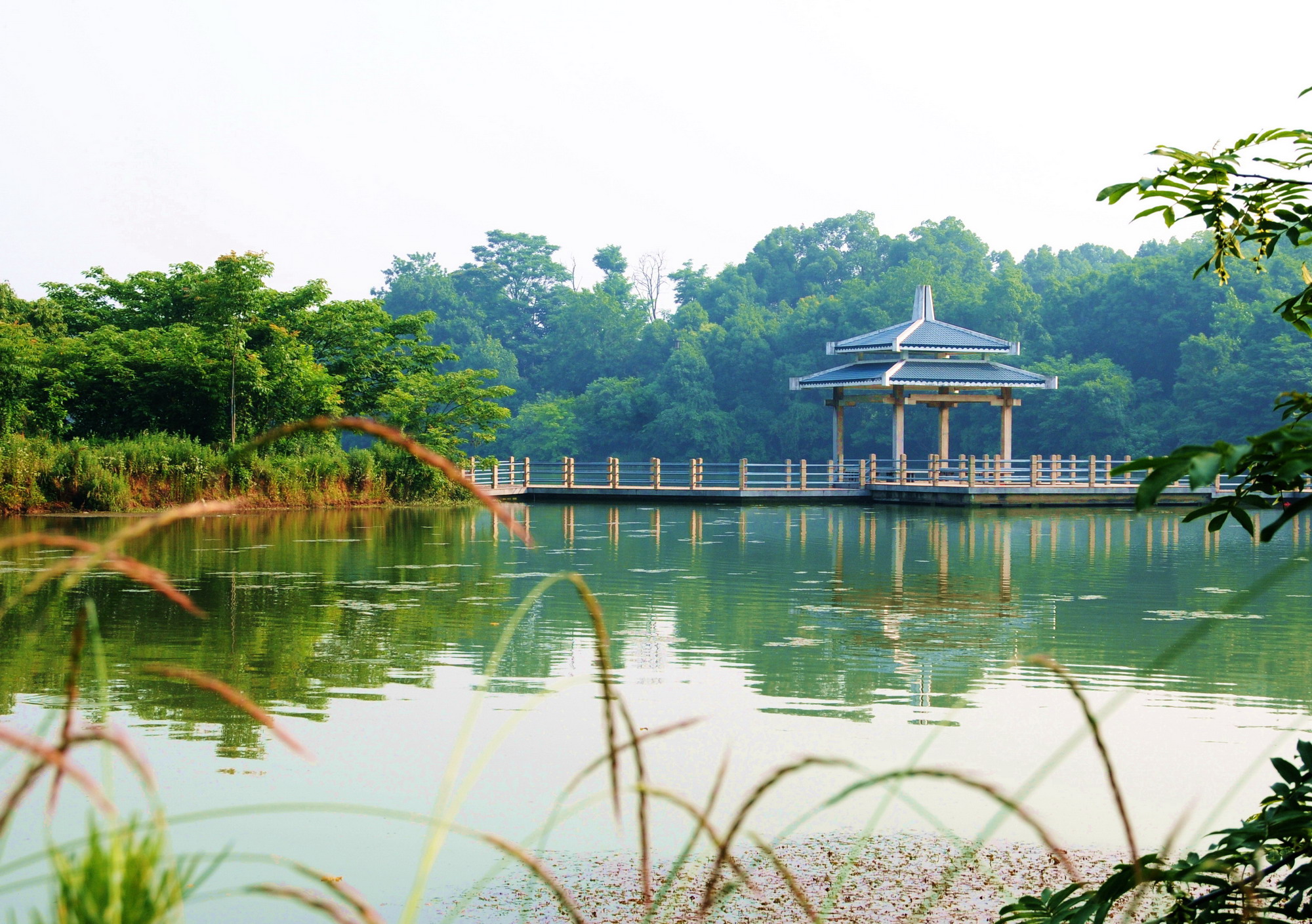 神山森林公园