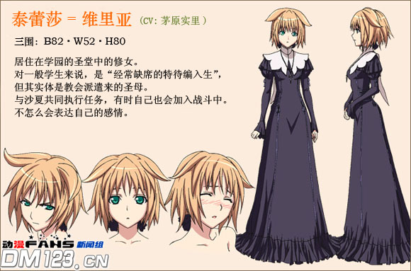 圣痕のクェイサー