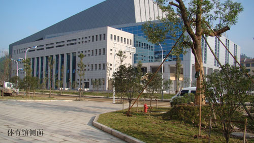  p>四川省青川第一高级中学,位于 a href="#" data-lemmaid="10440955