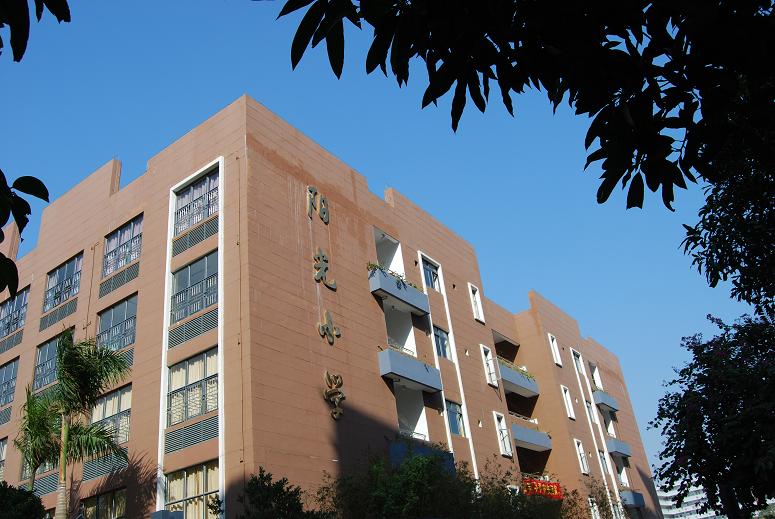 深圳阳光小学
