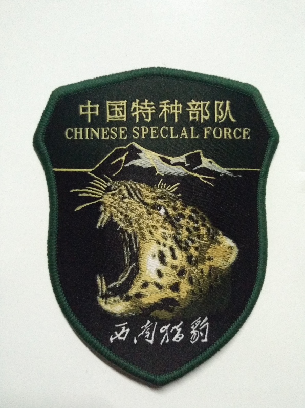  p data-id="gnwkd0fs8m"> b>西南猎豹 /b> 成都军区王牌部队,全军第
