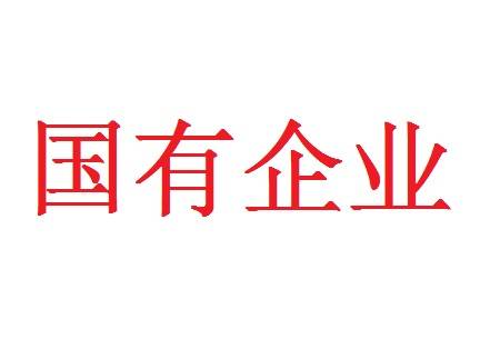 国有企业_百度百科