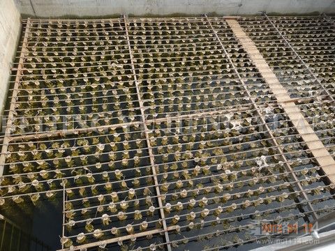  p>生物接触氧化法是从 a href="#">生物膜法 /a>派生出来的一种 a