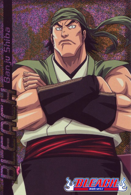  p>志波岩鹫,日本漫画《 a data-lemmaid="5460">死神 /a>》及其衍生