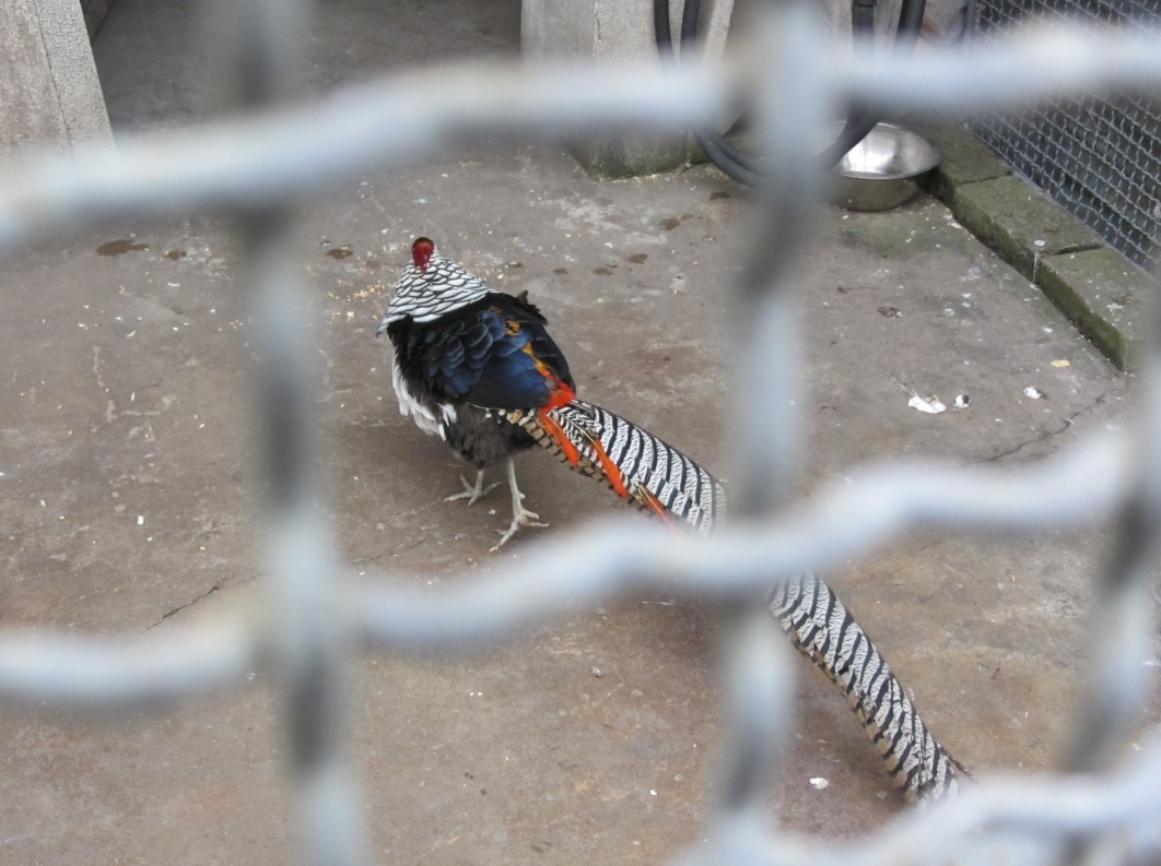  p>徐州动物园位于 a target="_blank" href="/item/徐州">徐州 /a>市