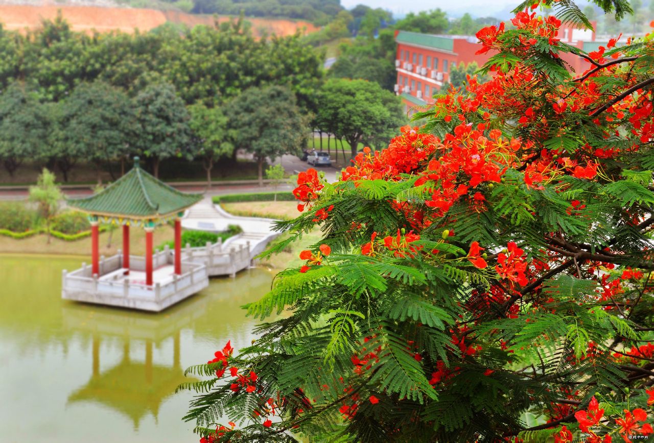  p>广东省 a target="_blank" href="/item/中山纪念中学">中山纪念