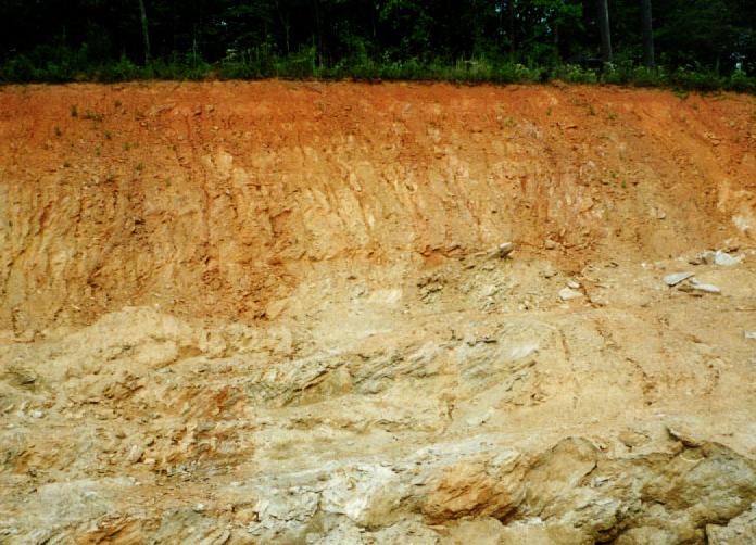 自然土壤剖面的上部,由于长期间水分自地表向下的 a href="#">淋溶 /a