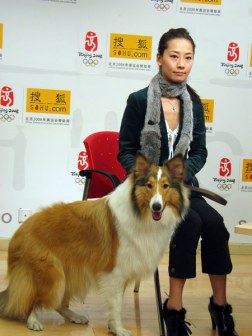张茜（中国内地女演员、主持人、珠宝分级鉴定师）_百度百科