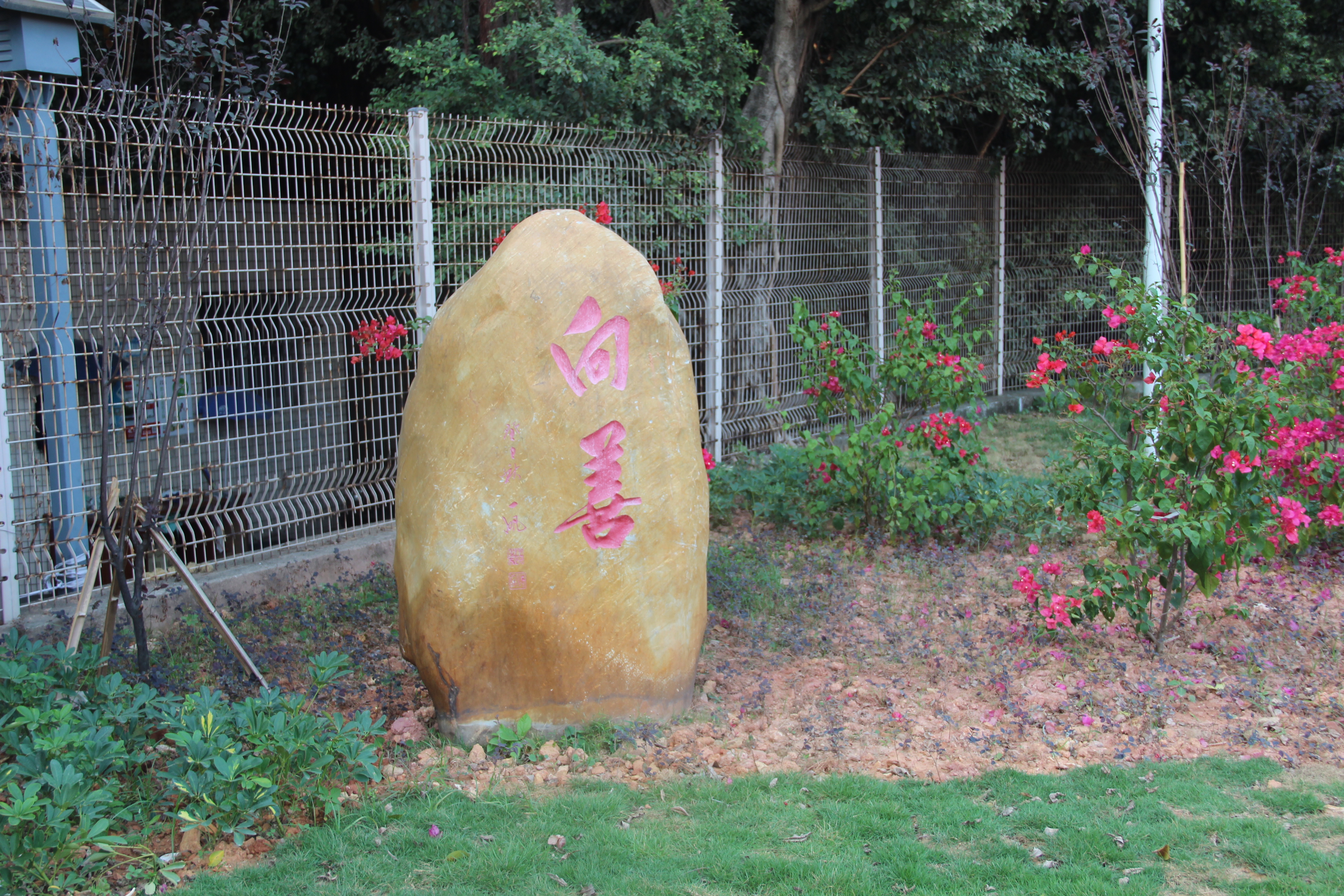 深圳市安芳小学