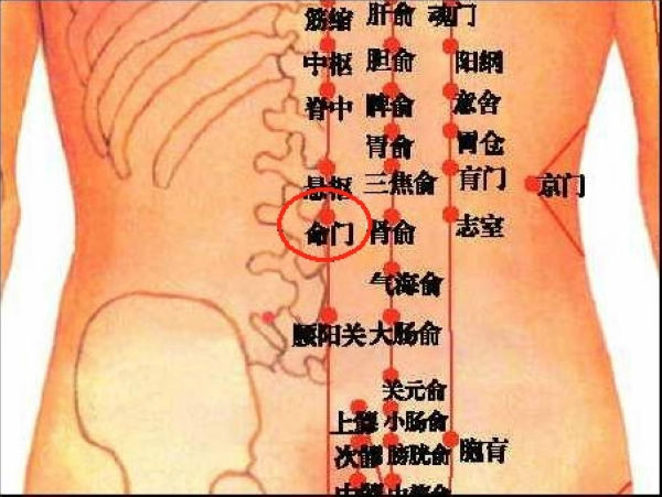 命门穴