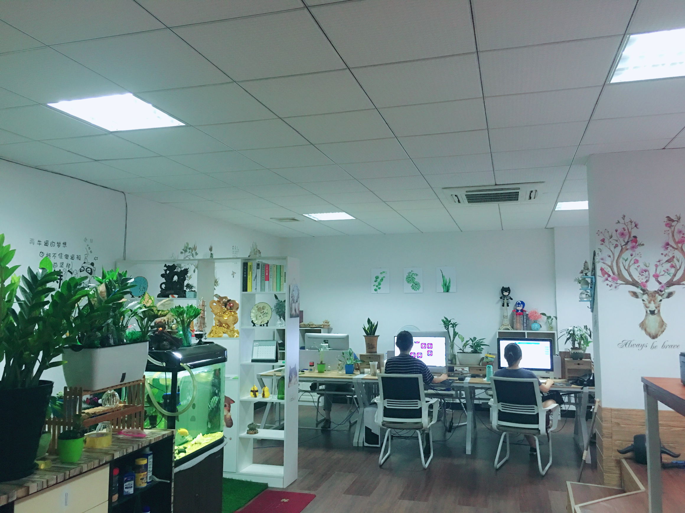 开发经营;自有房地产经营活动;建筑工程后期装饰,装修和清理;室内装饰