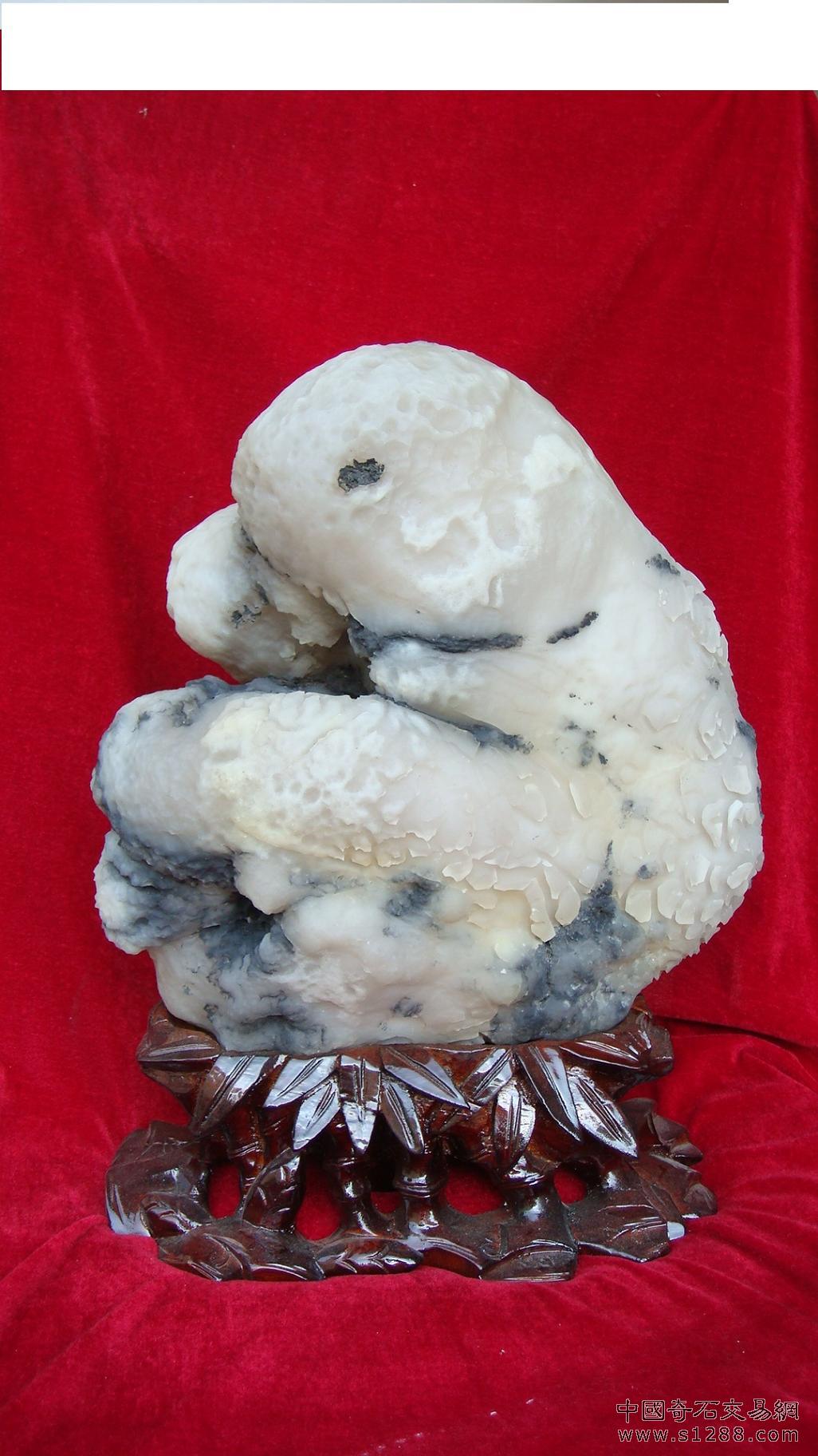 阴山雪玉