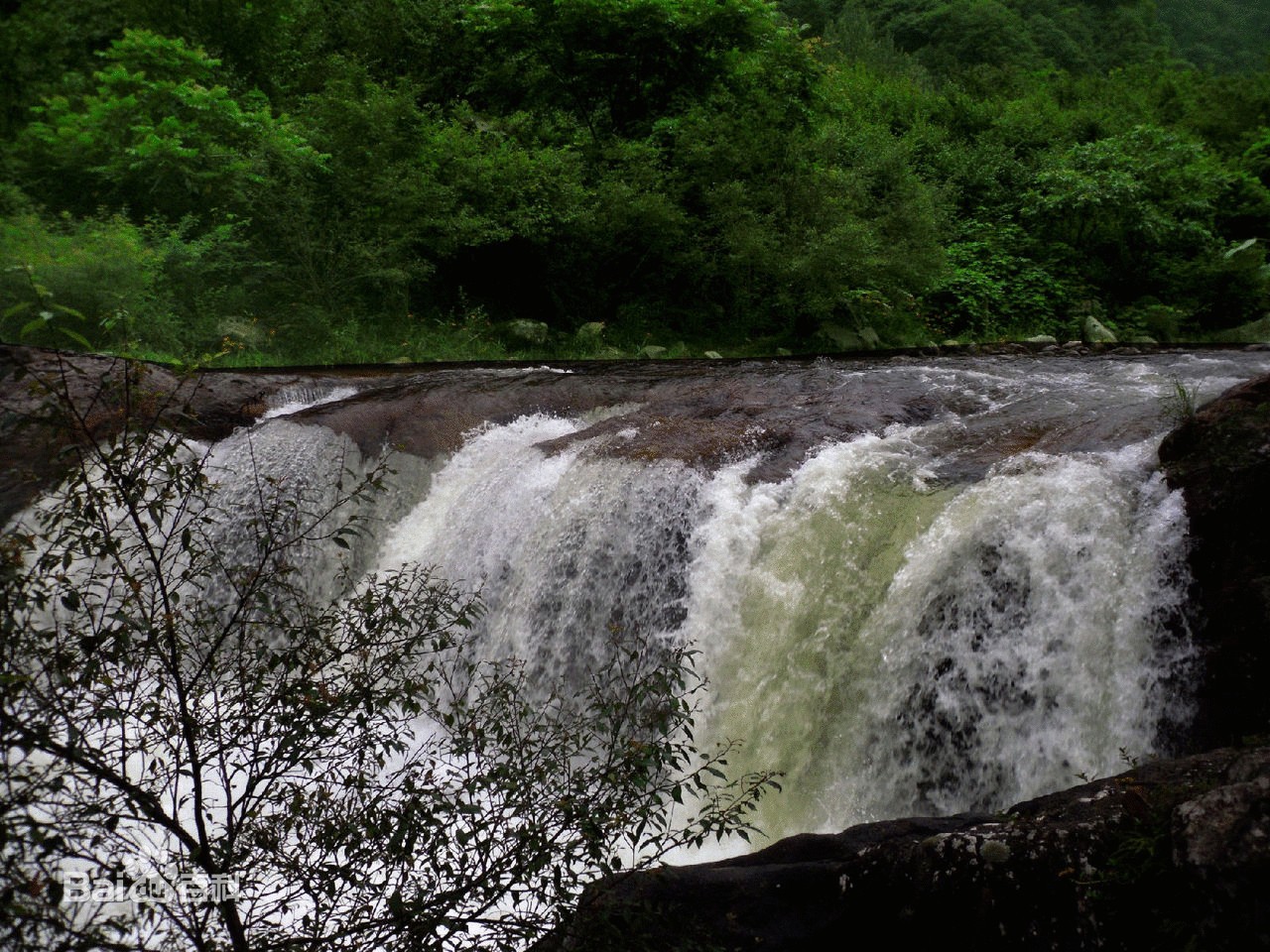 陕西长青国家级自然保护区