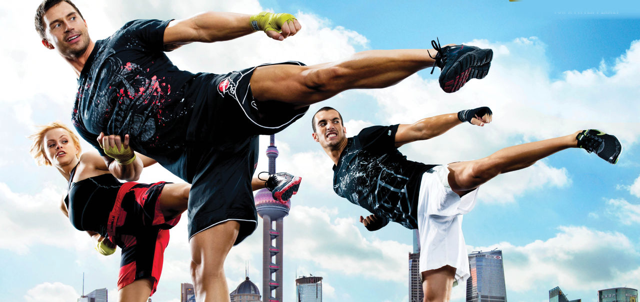 莱美旗下的一种将 a target="_blank" href="/item/中国武术/1446959"