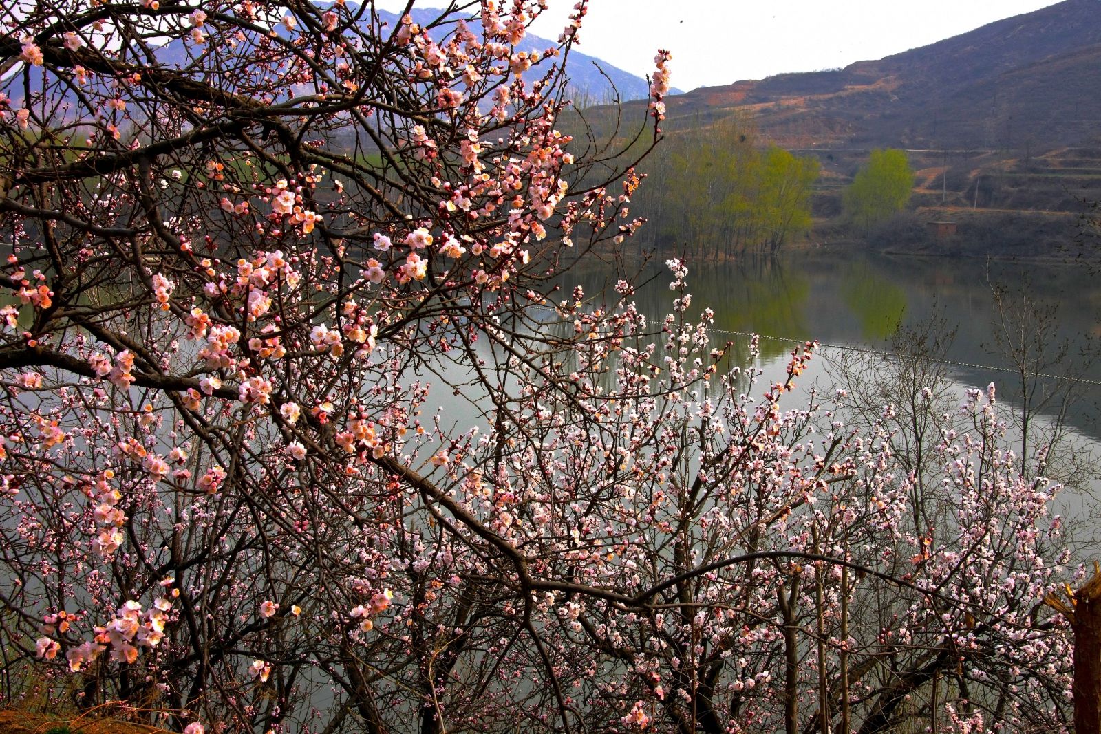  p>牛王寨地处河北省 a target="_blank" href="/item/行唐">行唐 /a>