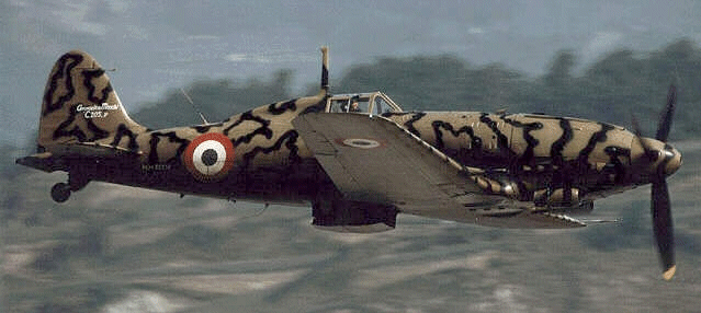  p>意大利猎犬战斗机(mc.