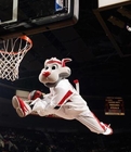 nba吉祥物