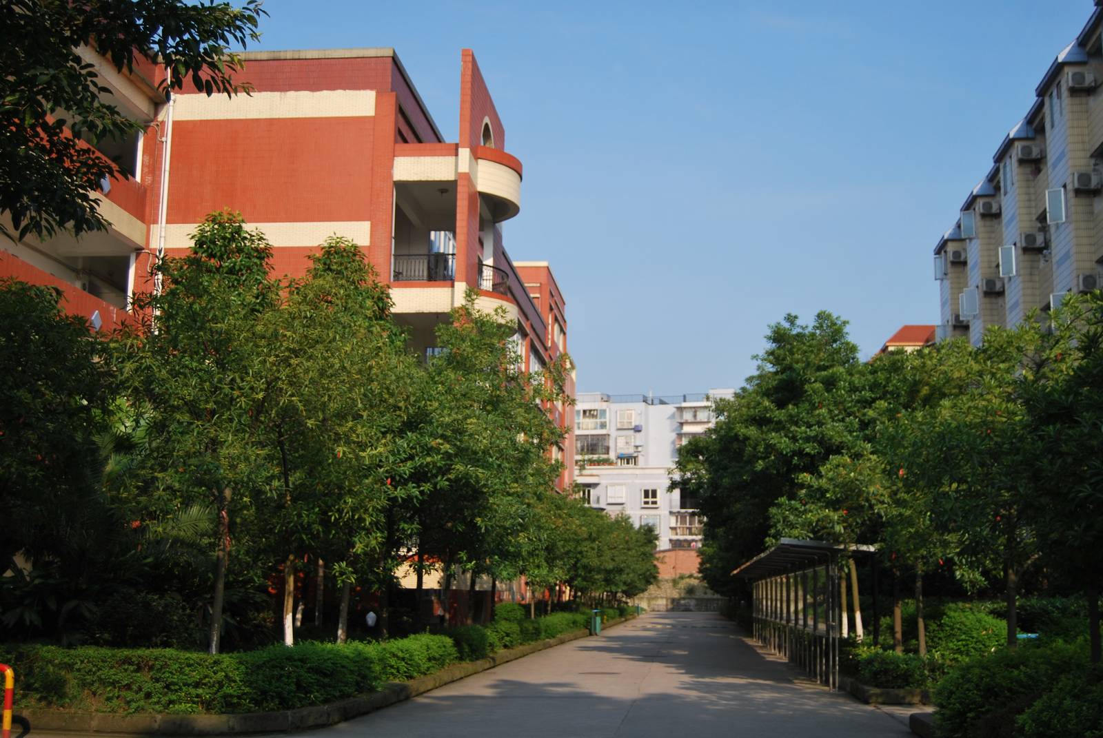  p>重庆市第一中学简称重庆一中,是重庆市首批重点中学.