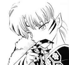 杀生丸（日本漫画《犬夜叉》及其衍生作品中的角色）_百度百科
