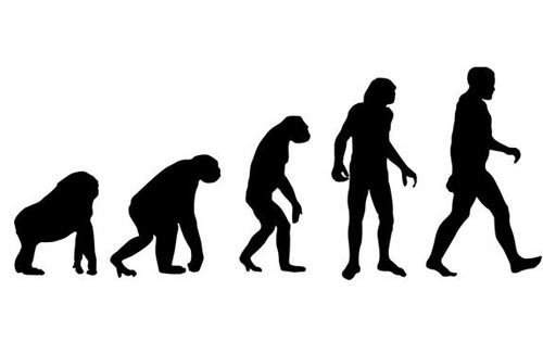 人类进化（进化生物学内容）_百度百科
