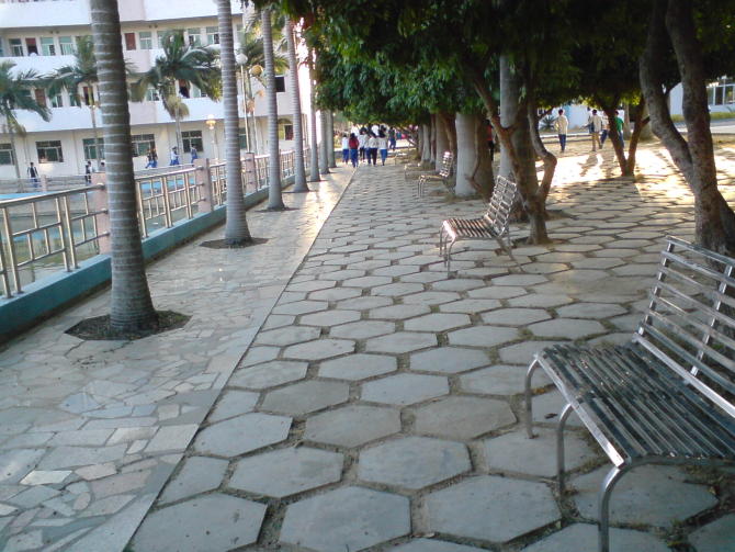 新兴县田家炳中学
