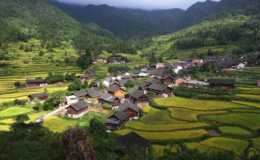 data-id="gnx1gfeej4">格多苗寨操中部方言苗语,外称青苗或片型短裙苗