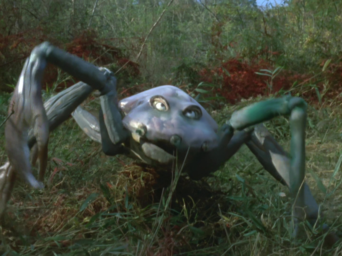 宇宙蜘蛛古蒙加