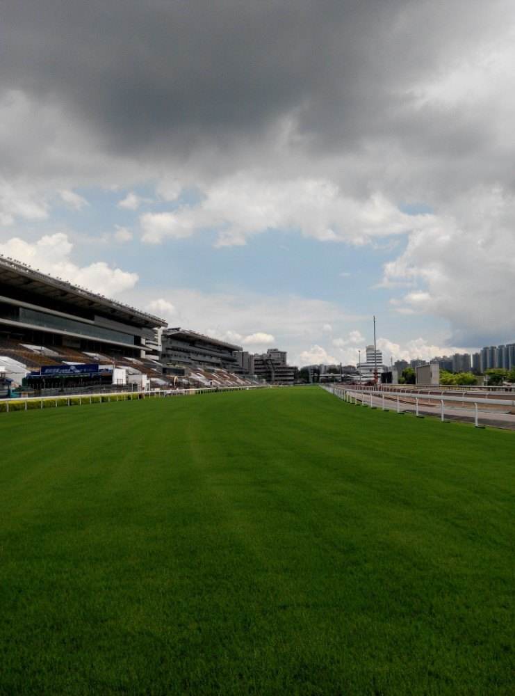  p>沙田马场(sha tin racecourse)位于中国香港 a href="#" data