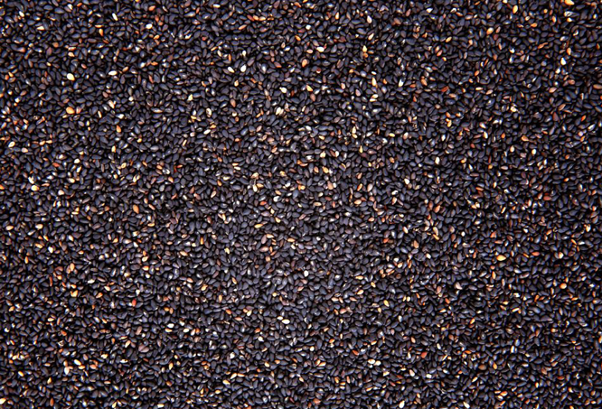  p data-id="gnx14j15ky">黑脂麻,又称胡麻,狗虱,乌麻子,交麻和黑芝麻