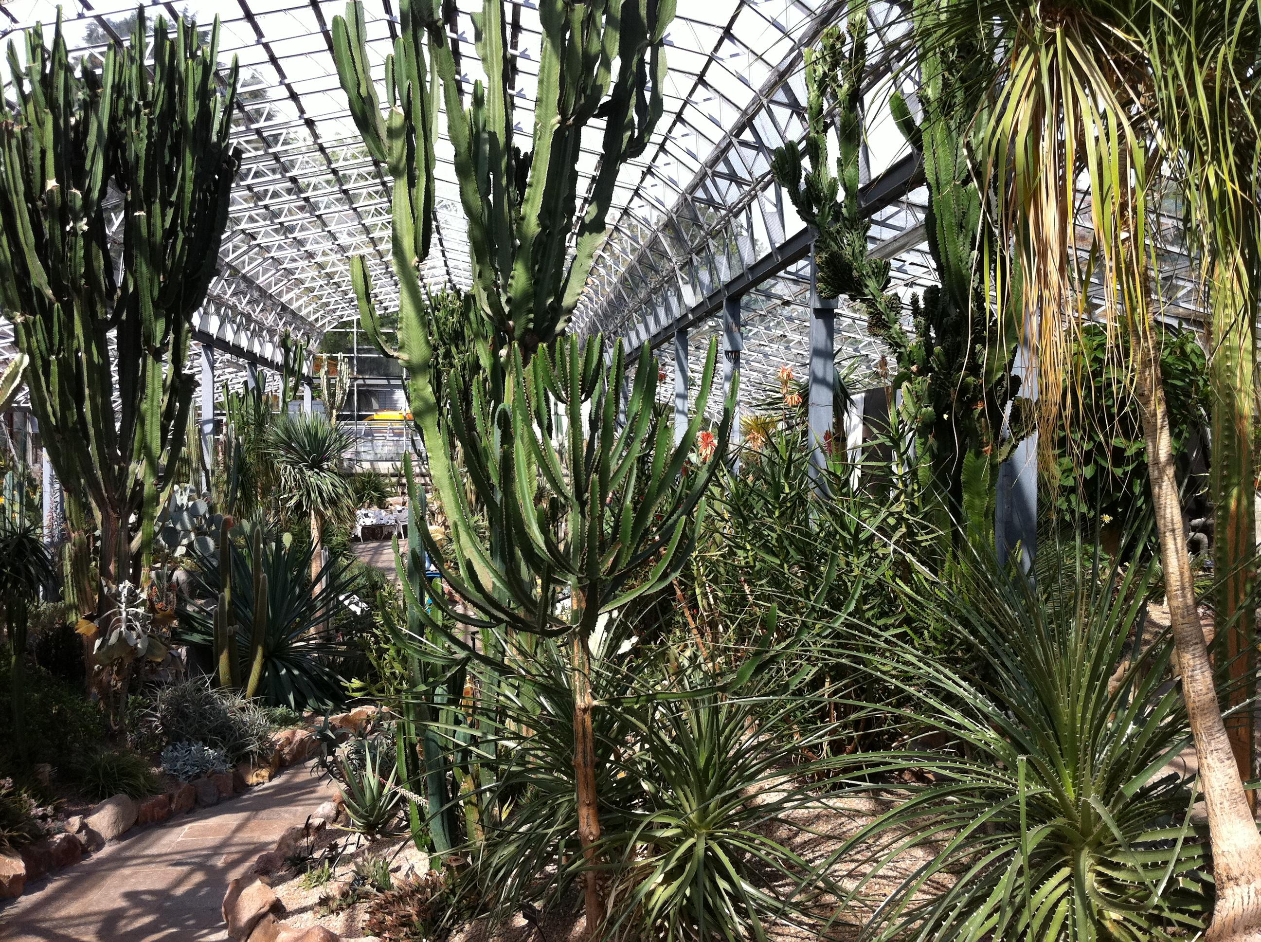 weather in the tropical zone desert