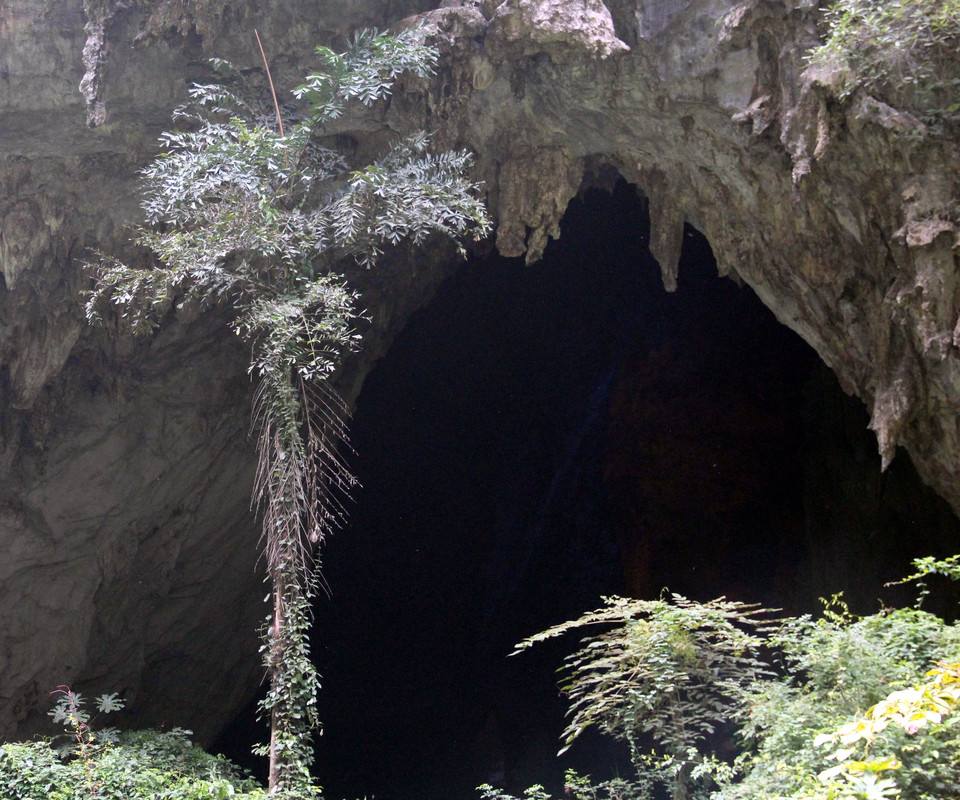  p data-id="gnviktpytx">"孔雀洞"位于四川省资阳市 a target="