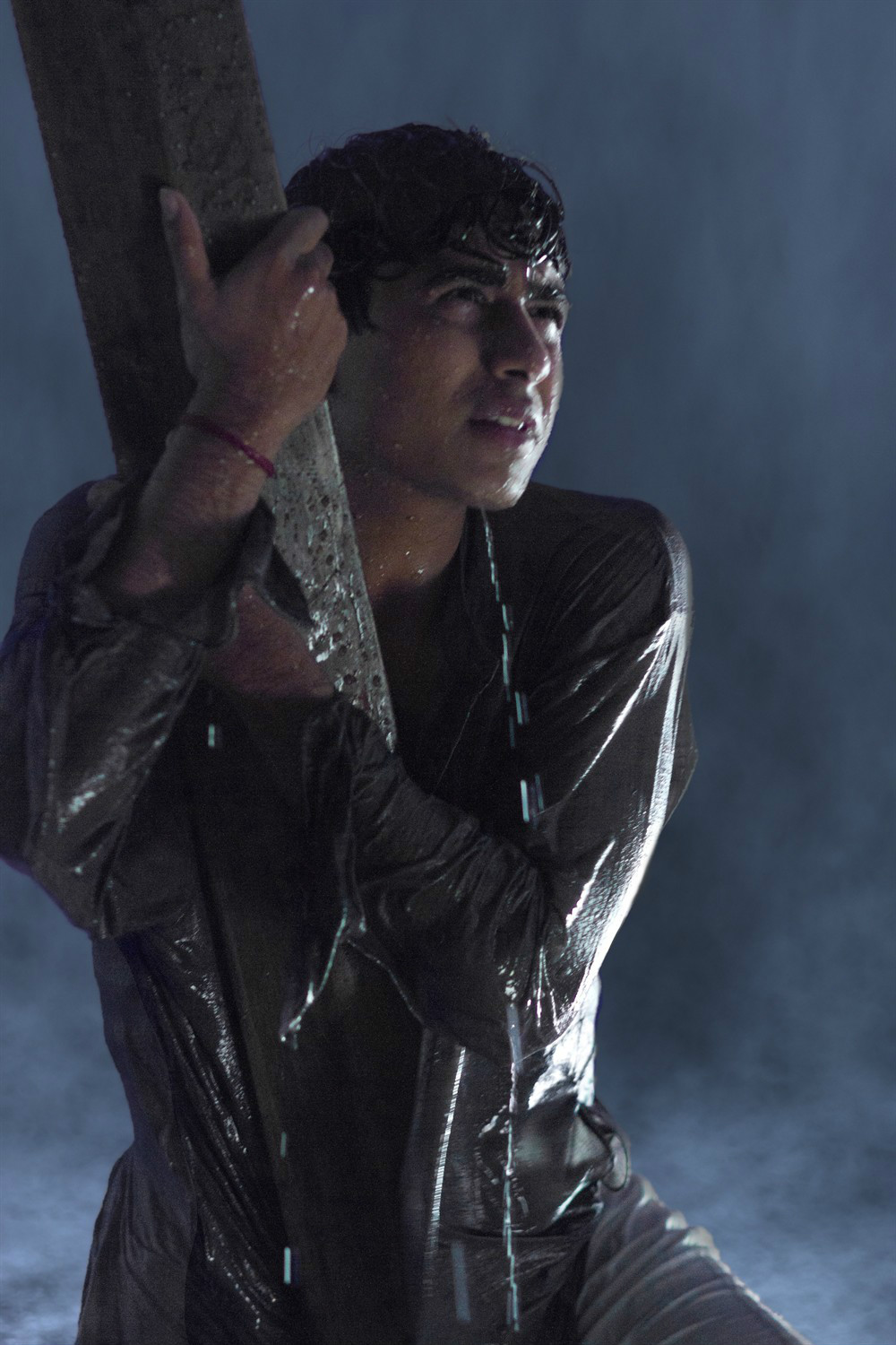 少年派的奇幻漂流影评