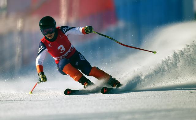  p>高山滑雪(alpine skiing)是以滑雪板,雪鞋,固定器和滑雪杖为主要