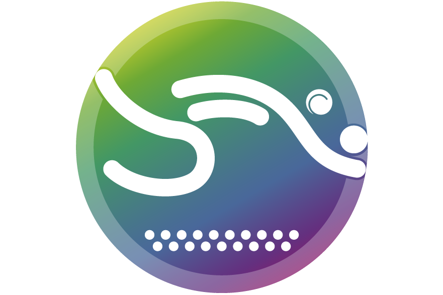 中华人民共和国第十四届运动会沙滩排球比赛