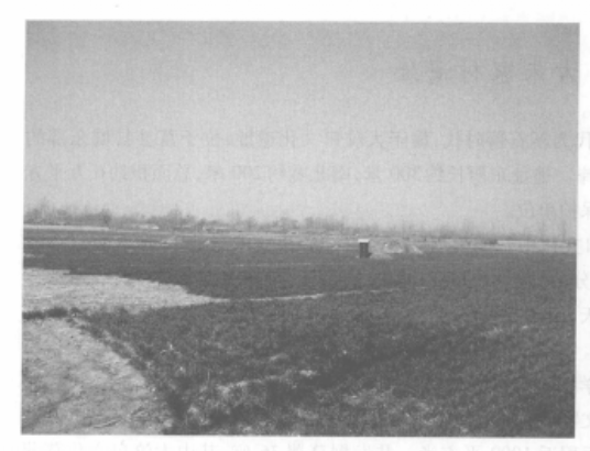  p data-id="gnx15nxfkd">大朱家村遗址,位于 a target="_blank" href