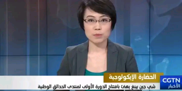 中国中央电视台阿拉伯语国际频道