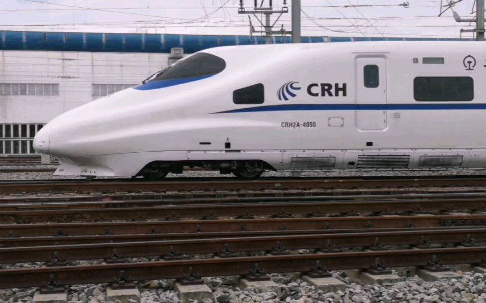 ="swhbv8cuwmic">d2916/d2913次是从青岛开往上海虹桥的高速动车车次