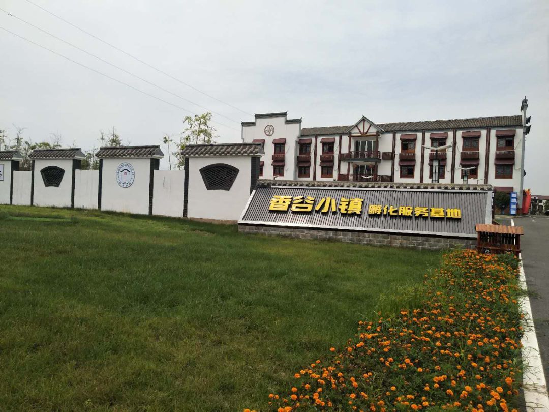 i91kg1a">香谷小镇是 a target="_blank" href="/item/金溪县/519860"