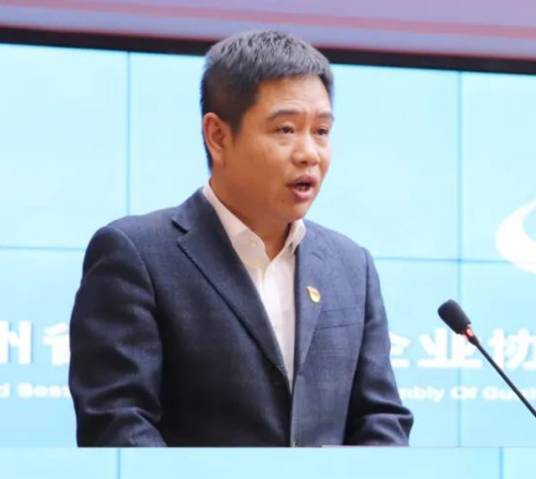 刘志勇（中国水电九局国际公司总经理）_百度百科