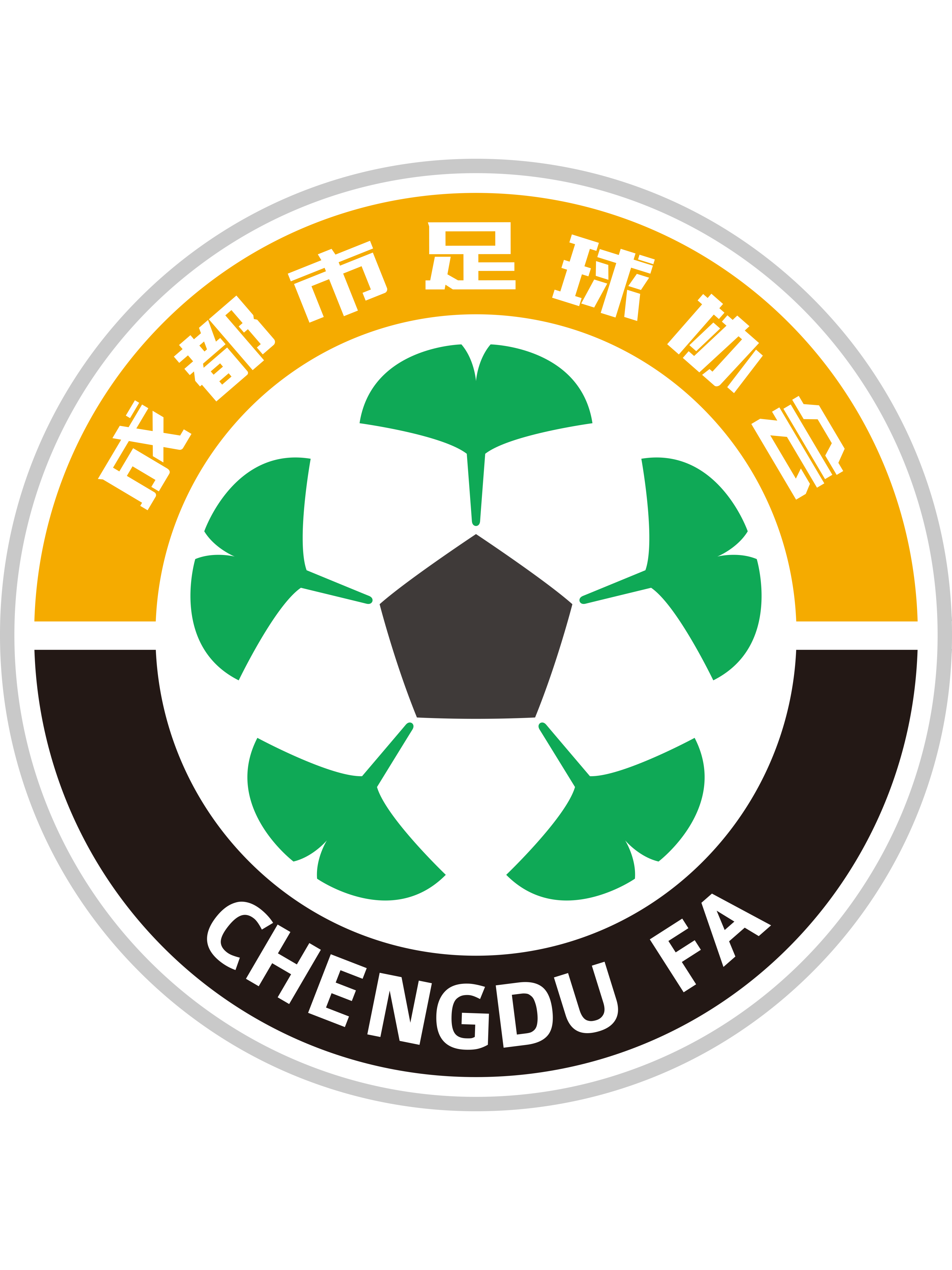 成都市足球协会