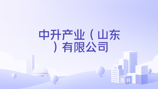 中升产业（山东）有限公司_百度百科